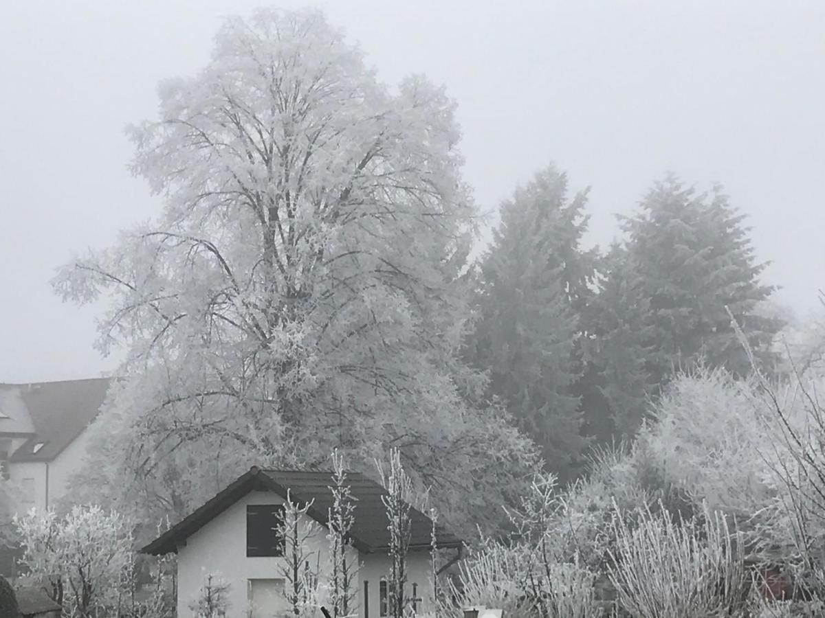 Ferienwohnungen Beckendorf Schiller Losheim Buitenkant foto